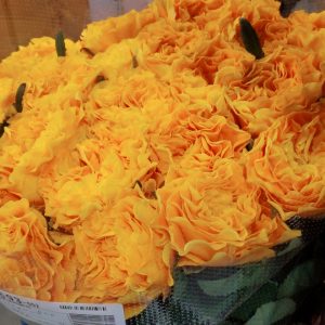 ６月２日はローズの日 花言葉で想いを伝える 色編 株式会社名港フラワーブリッジ 愛知県名古屋市 中部圏内最大級の生花市場