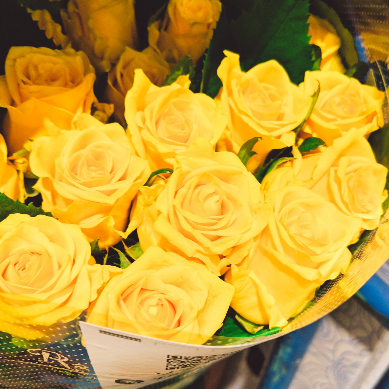 【6月2日はローズの日】花言葉で想いを伝える～色編～ 株式会社名港フラワーブリッジ｜愛知県名古屋市：中部圏内最大