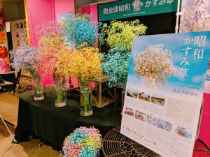 奥会津昭和村：染めのかすみ草の展示が始まっています - 株式会社名港