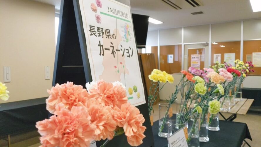 カーネーションは「香りの花」？ - 株式会社名港フラワーブリッジ｜愛知県名古屋市：中部圏内最大級の生花市場