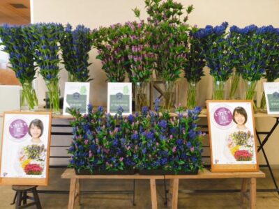 敬老の日 リンドウの花言葉は 怖い のか 青い花に乗せる想い 株式会社名港フラワーブリッジ 愛知県名古屋市 中部圏内最大級の生花市場